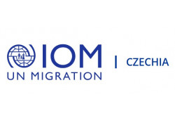 МОНГОЛЧУУДЫН ХОЛБОО, ТӨРИЙН БУС БАЙГУУЛЛАГУУДЫН АНХААРАЛД