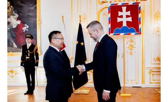 Ambassador met with the President of Slovakia