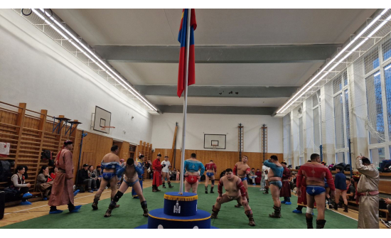 МОНГОЛ БАХАРХЛЫН ӨДӨР БОЛОН БҮГД НАЙРАМДАХ УЛСАА ТУНХАГЛАСНЫ ӨДӨРТ ЗОРИУЛСАН БӨХИЙН БАРИЛДААН ЗОХИОН БАЙГУУЛАВ