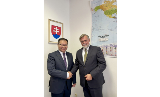 ЭЛЧИН САЙД СЛОВАК УЛСАД АЖИЛЛАВ