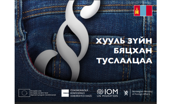 Иргэдийн мэдээлэлд: Чех улсын Хөдөлмөрийн хуулийн талаар зөвлөмж, мэдээлэл